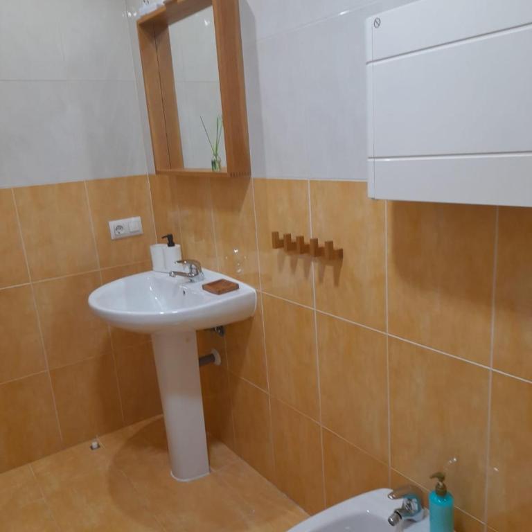 ALOJAMIENTO LOS DINOSAURIOS - Apartamento Dúplex - 49