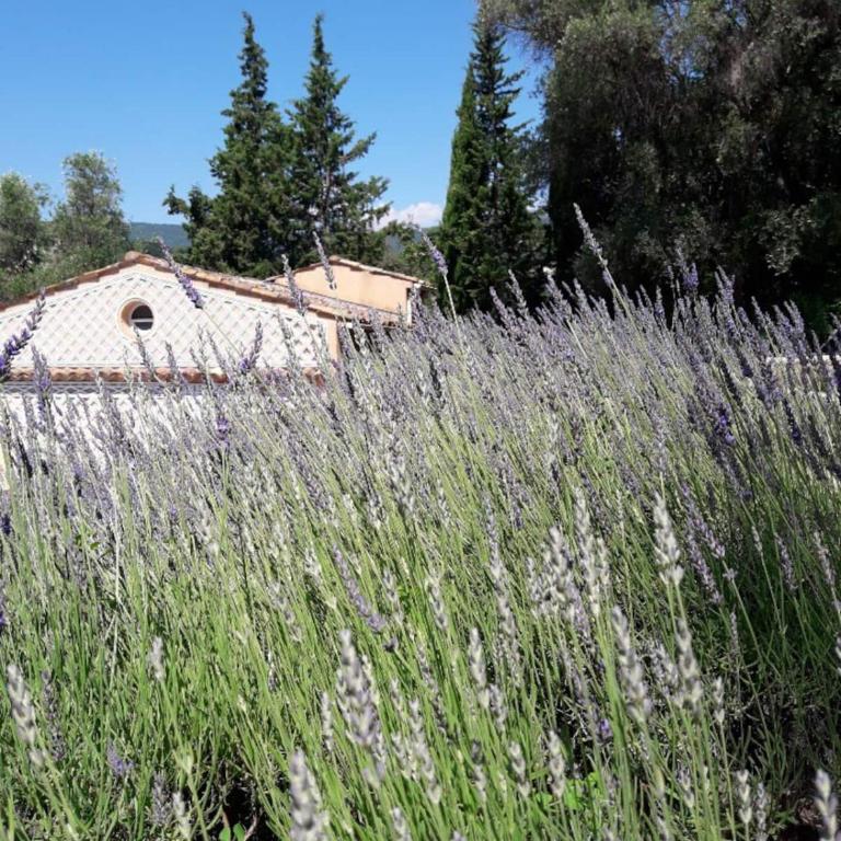 Apartment Cézanne with heated pool and private garden - Appartement avec Terrasse - 29