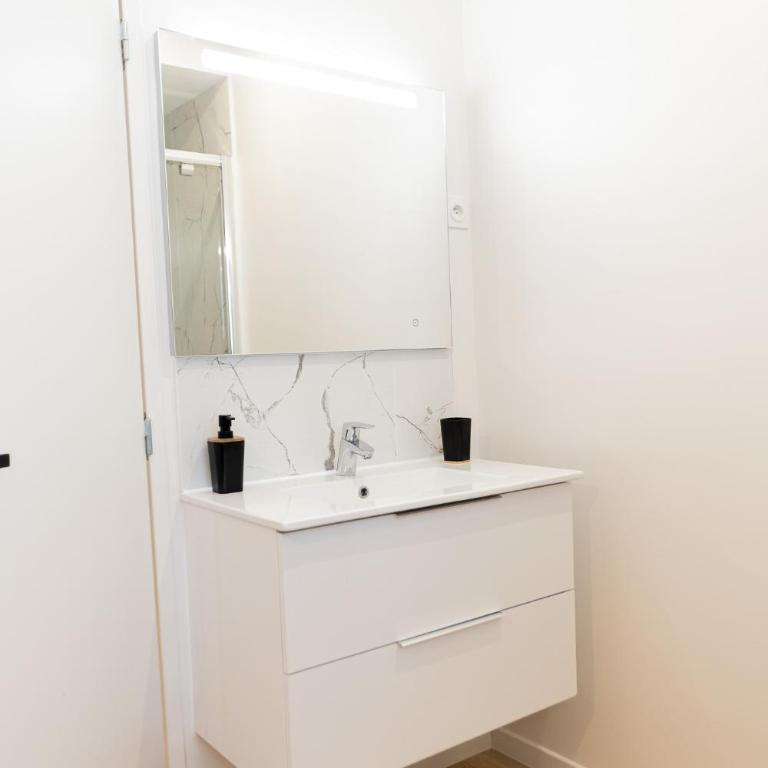 Le Tropical - Beau logement centre - Gare - Tram - Appartement 1 Chambre - 21