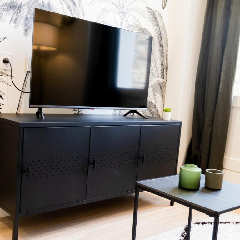 Le Tropical - Beau logement centre - Gare - Tram - Appartement 1 Chambre - 10