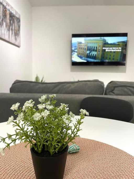 sarajevo2go - Apartman sa 1 Spavaćom Sobom - 17