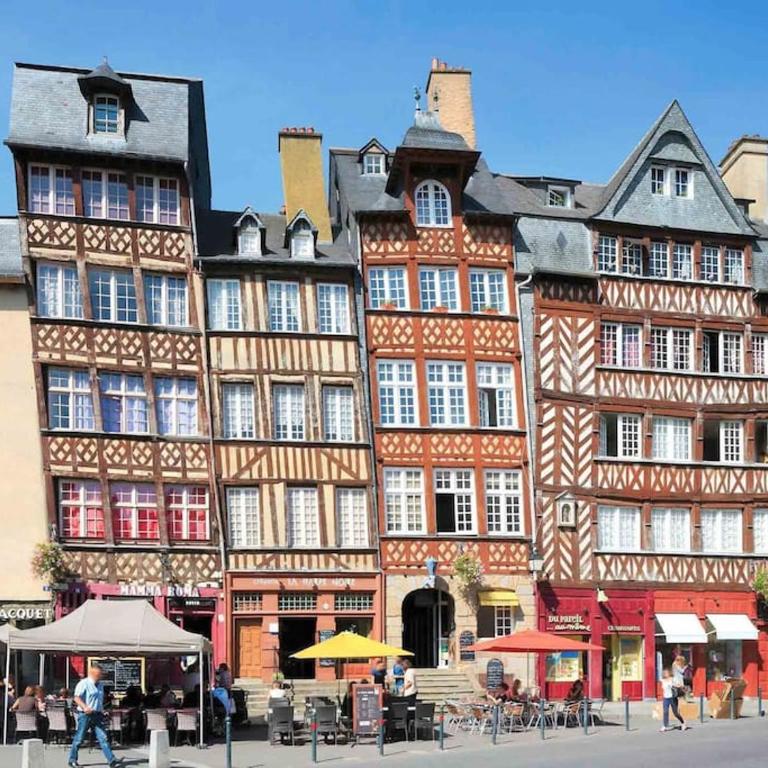 Le Wild, Superbe studio au bord de la vilaine - One-Bedroom Apartment - 24