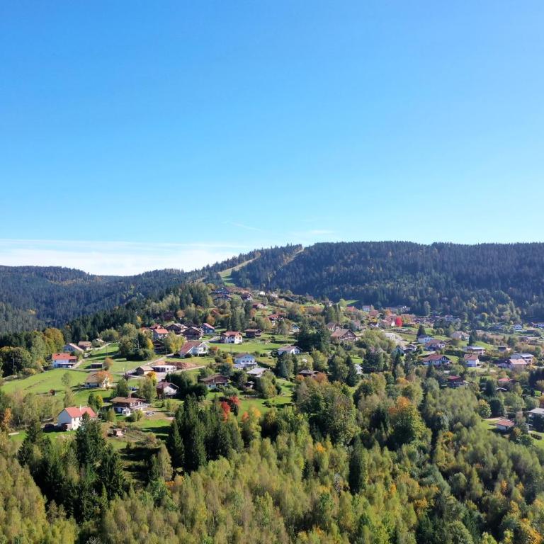 Chalet des sorbiers - Chalet - 9
