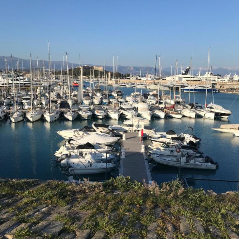 ANTIBES très belle situation ! - Appartamento con 1 Camera da Letto - 17