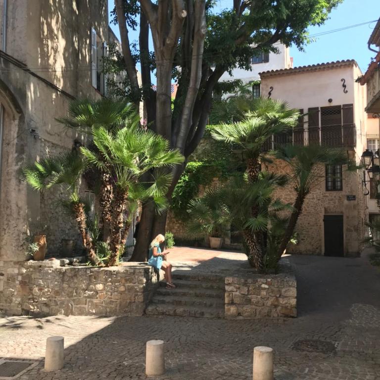 ANTIBES très belle situation ! - Appartamento con 1 Camera da Letto - 19