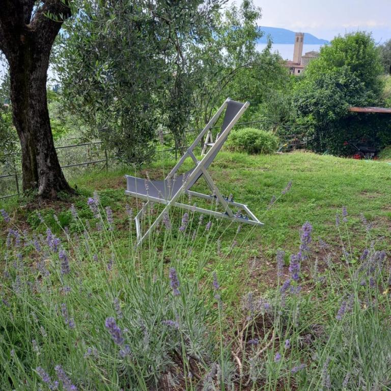 Casa del Codirosso - Casa con 3 Camere da Letto - 31