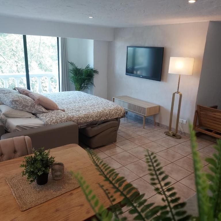 CHARMANT 2 PIECES DANS VILLA INDIVIDUELLE TERRASSES JARDIN - Appartement 1 Chambre - 13