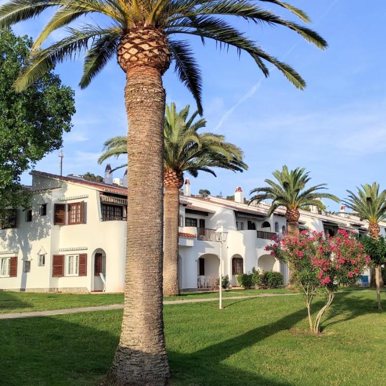 Apartamento Nuba - Apartamento de 3 dormitorios - 24