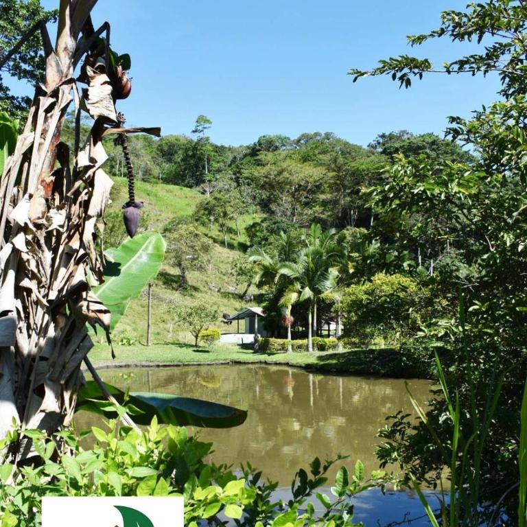 Casa Campestre Villa Lago - Casa de 5 dormitorios - 11