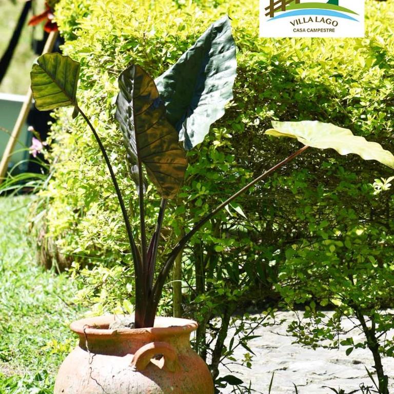 Casa Campestre Villa Lago - Casa de 5 dormitorios - 17