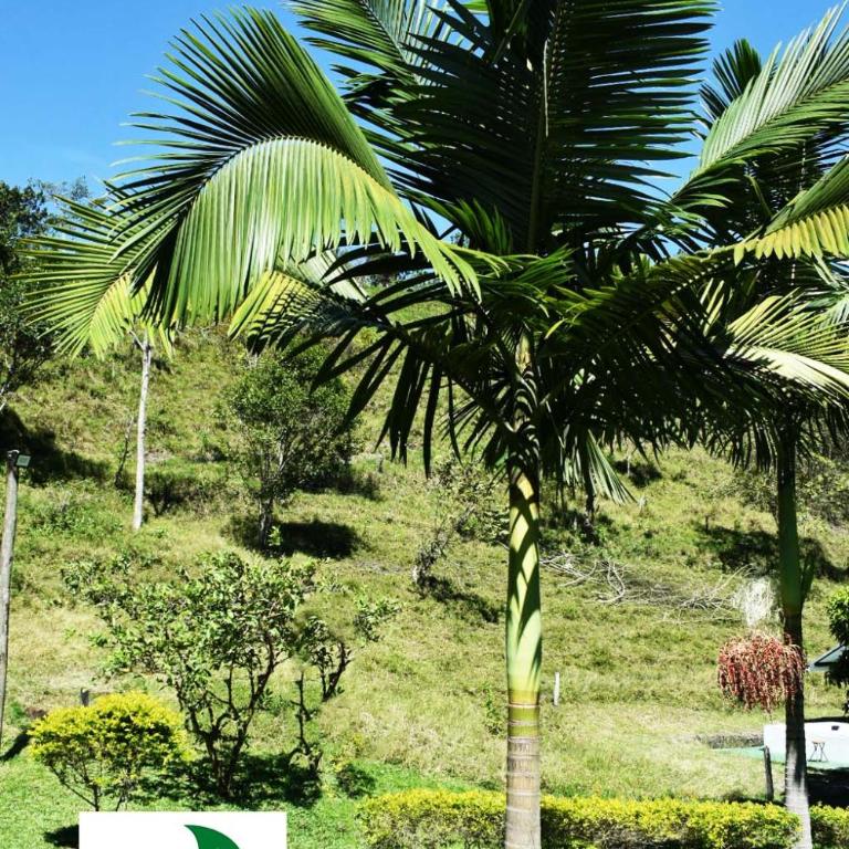 Casa Campestre Villa Lago - Casa de 5 dormitorios - 54