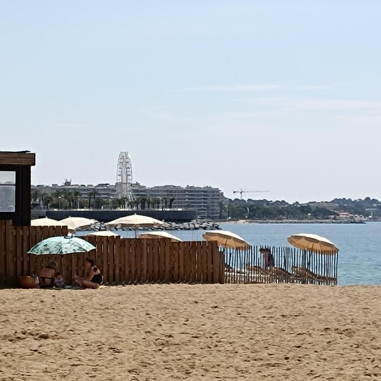 Appartement a 50 mètres de la plage - One-Bedroom Apartment - 18