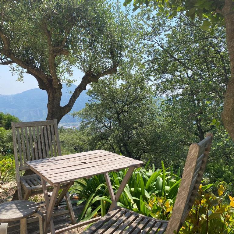 CHARMANT 2 PIECES DANS VILLA INDIVIDUELLE TERRASSES JARDIN - Appartement 1 Chambre - 41