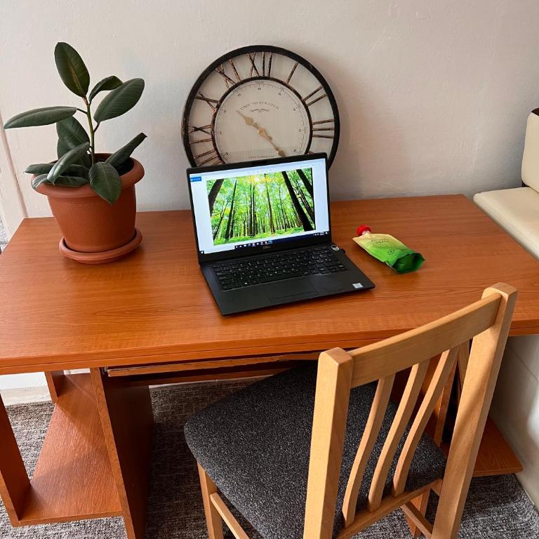 Green apartment Sarajevo - Apartman sa 1 Spavaćom Sobom - 10