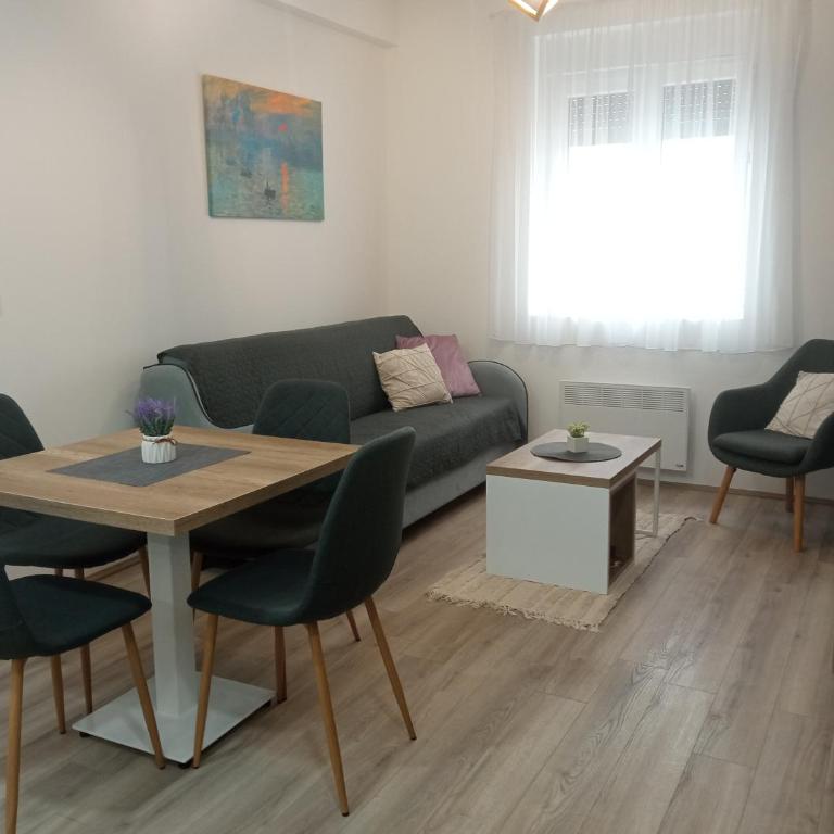 Apartman Zara - free private parking - - Apartman sa 1 Spavaćom Sobom - 20