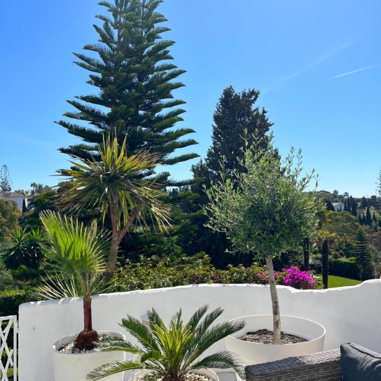 Superb Townhouse in Golden Mile - Apartamento de 2 dormitorios - 12