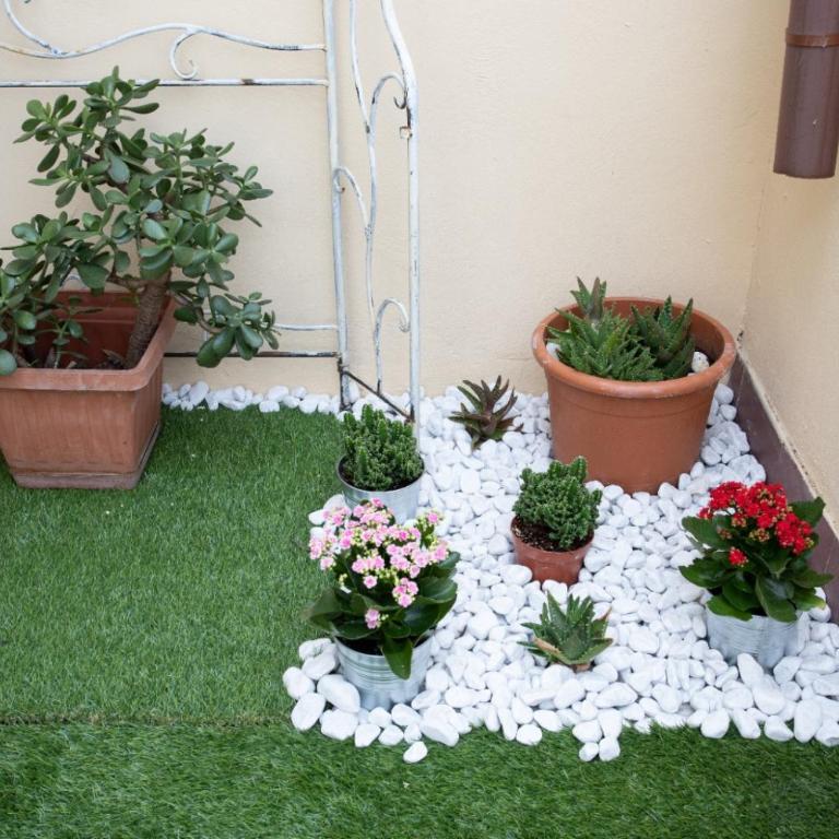 Belvedere pigneto - Apartment mit 1 Schlafzimmer - 17