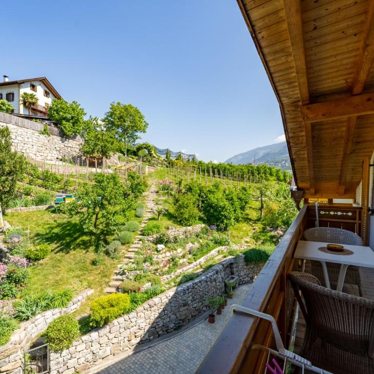 Haus Zenoburg - Apartamento - 17