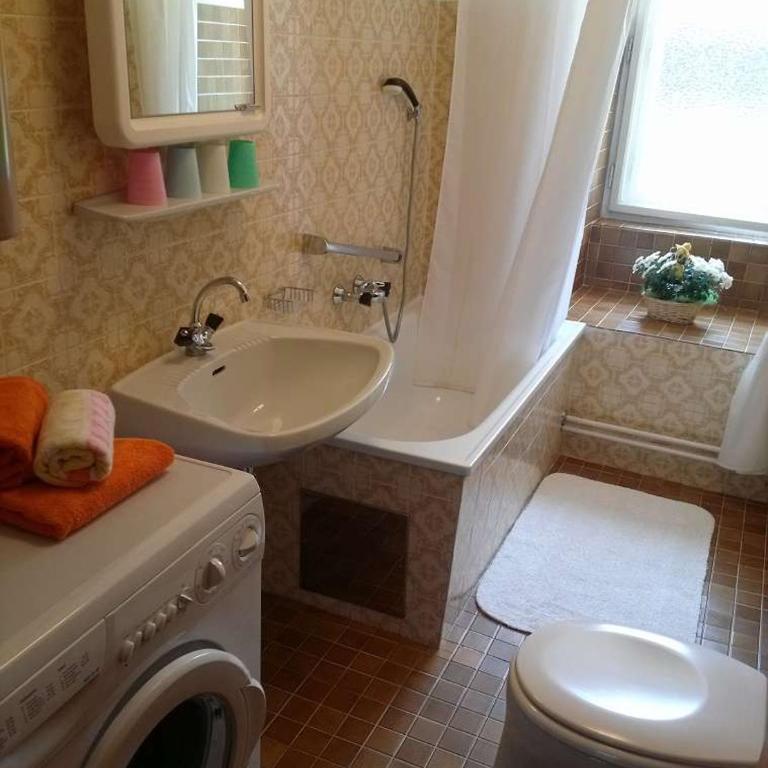 Steinadler Apartments Quiet Location Garden, Private Parking Pet Friendly - Appartement - Vue sur Jardin - 11