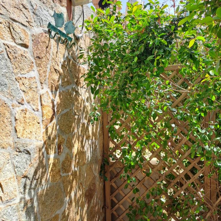 Sa Domixedda - Villa con Vista Mare - 32