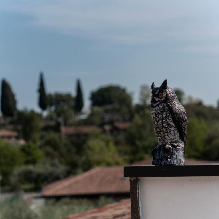 CORTE RIBELLI - One-Bedroom Apartment - 6