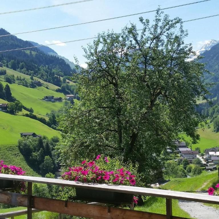 Hintergugg - Ferienhaus - 26