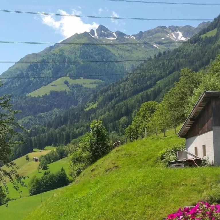 Hintergugg - Ferienhaus - 25