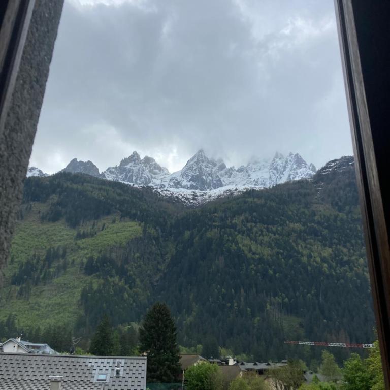 Abeille de Chamonix - Appartement 2 Chambres - 11