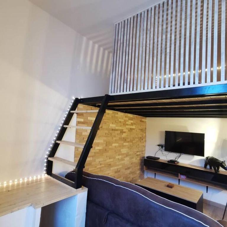 Le Favrel - Appartement avec mezzanine rénové - Gare de Vannes - Appartement 1 Chambre - 4