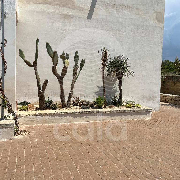 Villa Rosa dei Venti By Cala Salento - Three-Bedroom House - 42