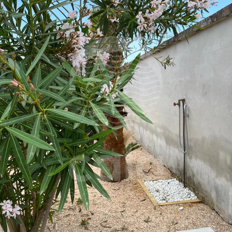 Villa Rosa dei Venti By Cala Salento - Three-Bedroom House - 67
