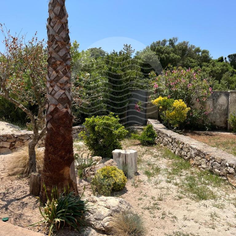 Villa Rosa dei Venti By Cala Salento - Three-Bedroom House - 44
