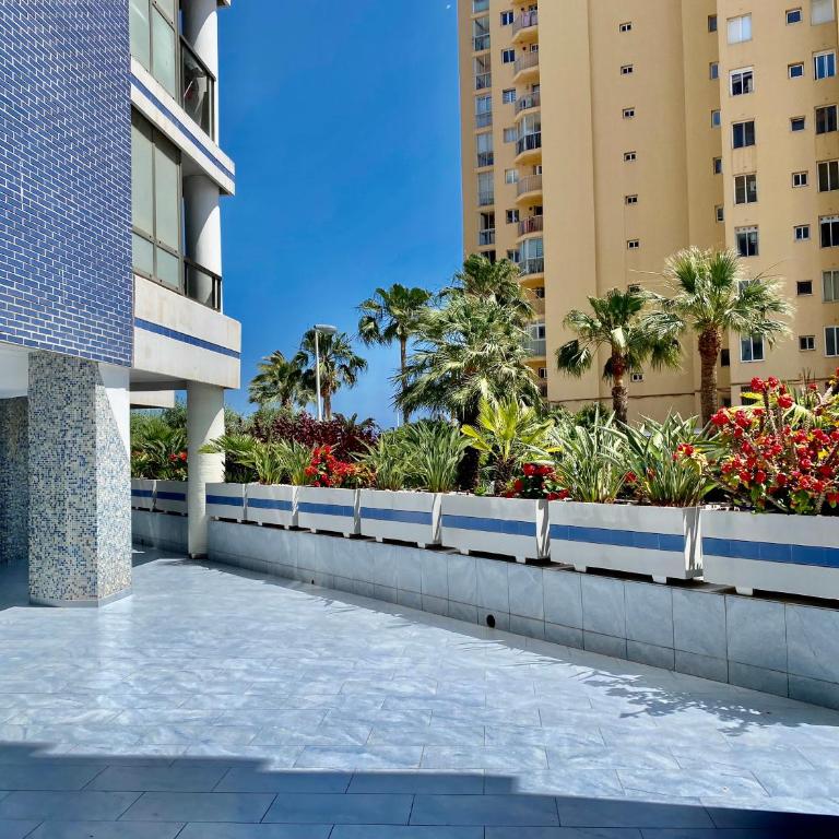 Calpe Hipocampo 25-A - Apartment with Sea View - 22