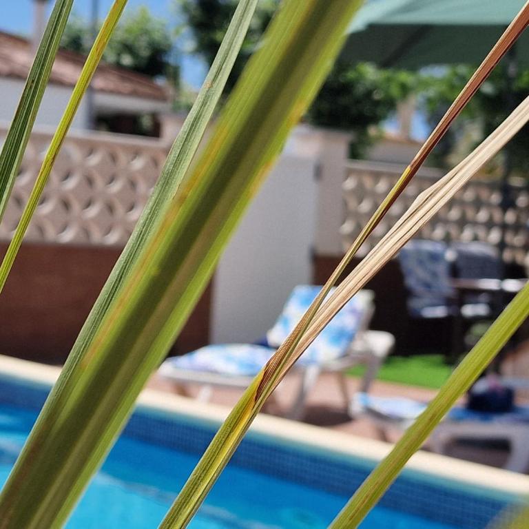 Riumar "Camins", 380m to beach, private pool, On-Site-Service, dog beach - Casa de 2 dormitorios - 9