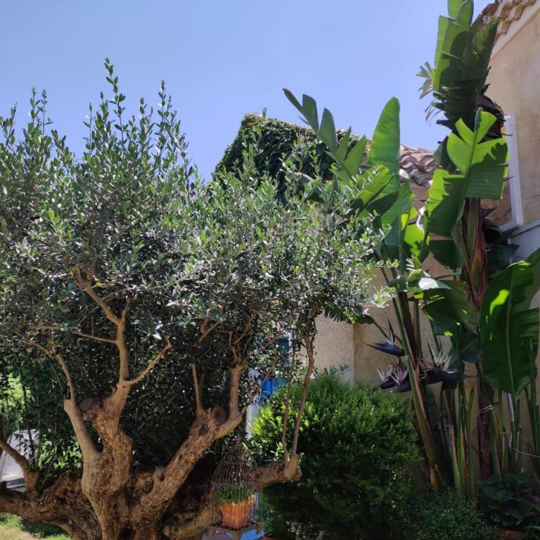 Casa Vacanze L'Ulivo di Ugo - Casa con 2 Camere da Letto - 4