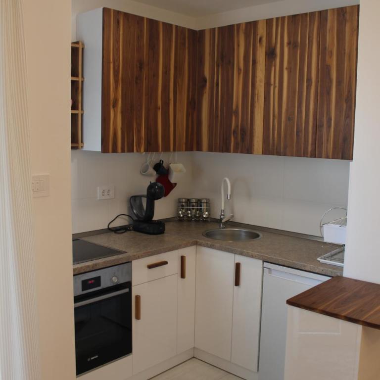 ASJ LUX Apartment - Apartman sa 1 Spavaćom Sobom - 4