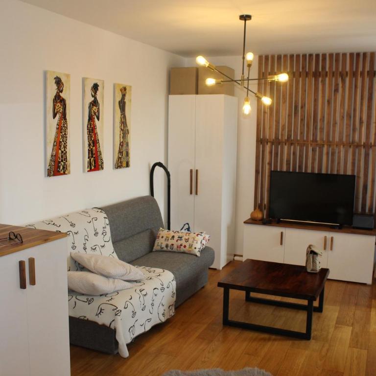 ASJ LUX Apartment - Apartman sa 1 Spavaćom Sobom - 13