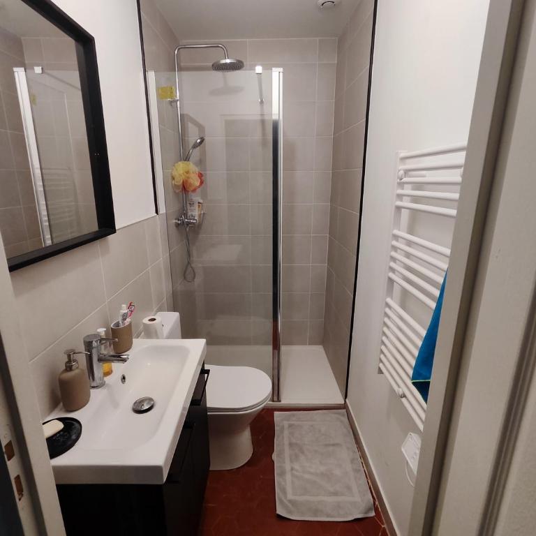 Beautiful apartments & Loft in Beziers center - Appartement Supérieur - 25