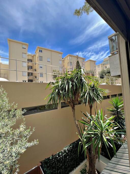 Carré d'or Studio 2 - Appartement 1 Chambre - 4