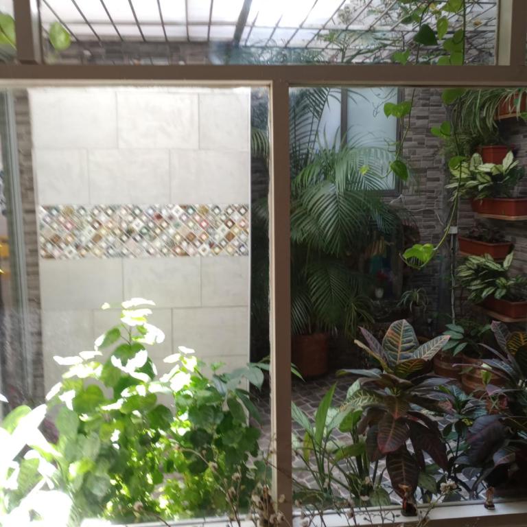 Noras Homestay Laureles - Habitación Doble Económica - 4