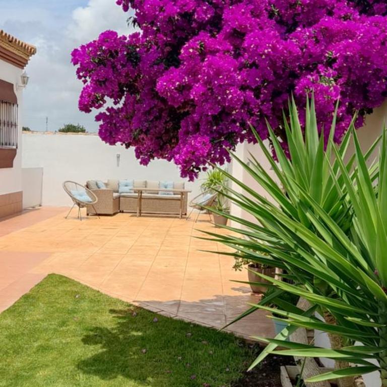 Chalet Hercules la barrosa - Casa de 3 dormitorios - 9