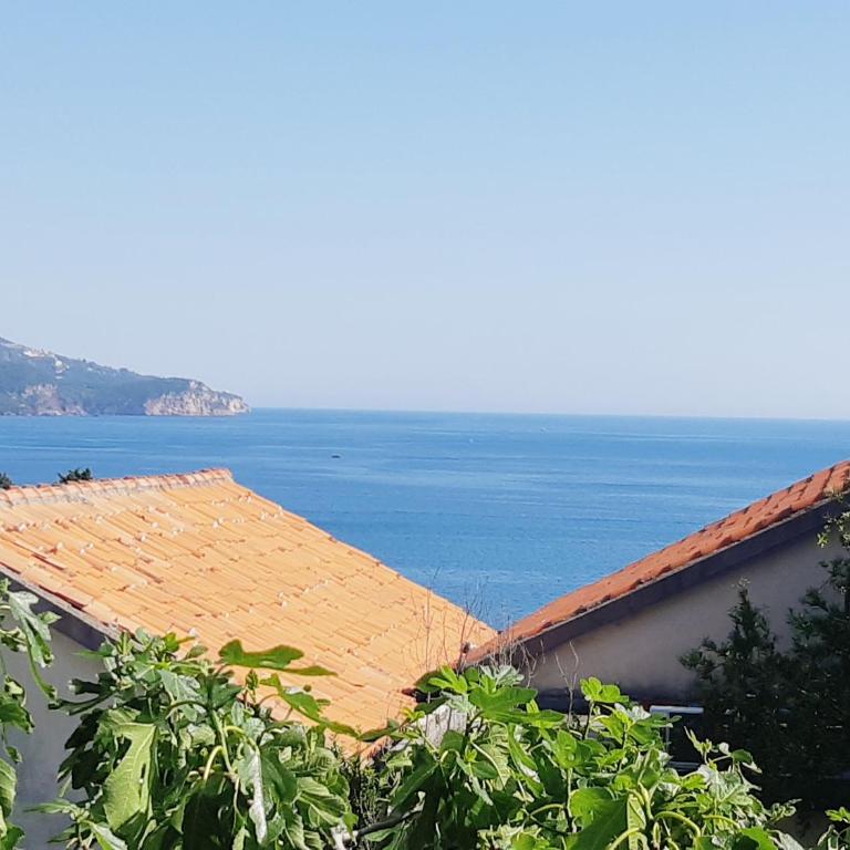 Apartments Ivanović - Apartman s 1 Spavaćom Sobom i Balkonom - 17