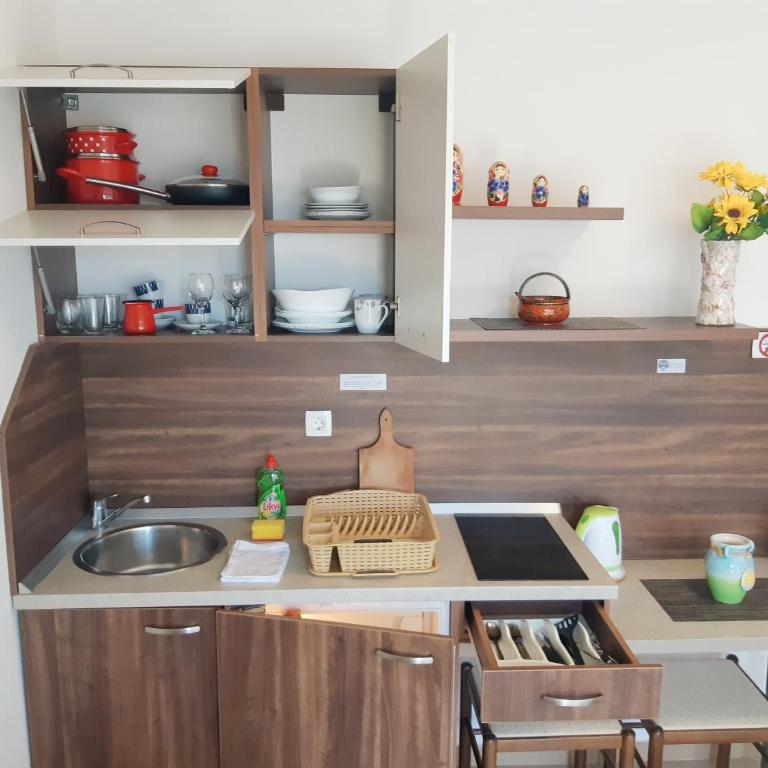 Apartments Ivanović - Apartman s 1 Spavaćom Sobom i Balkonom - 22