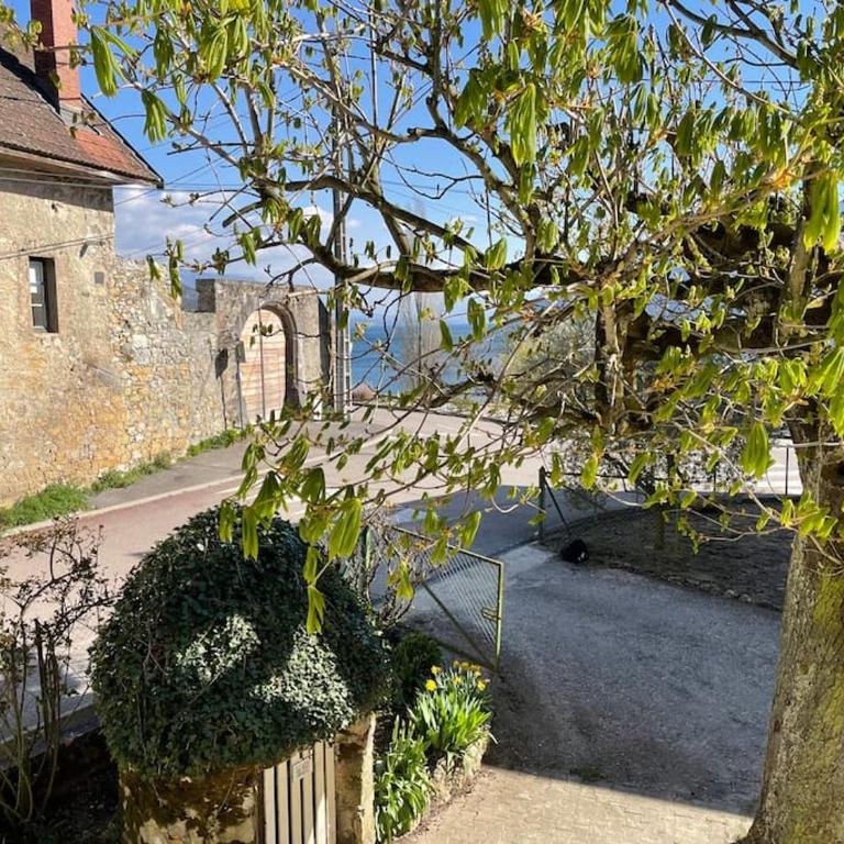 Gîte Au Bout du Lac - Four-Bedroom House - 4