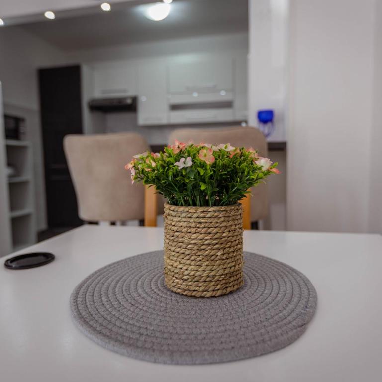 Apartman Rossun - One-Bedroom Apartment - 7