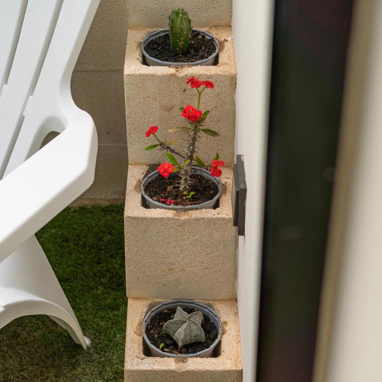 Las Gemelas del Mar - Apartamento - Planta baja - 11