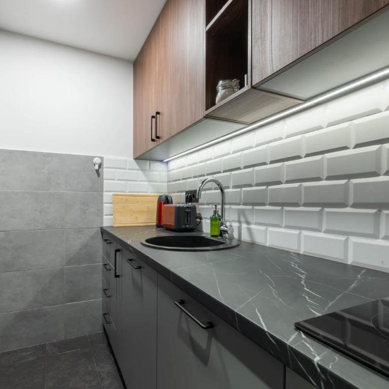 HostGost Selected Suites – Parliament - Apartman sa 2 Spavaće Sobe - 22