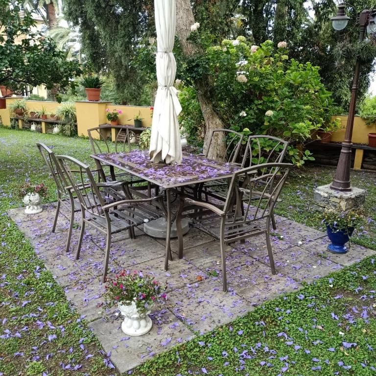 Casetta Jacaranda - Monolocale - 48