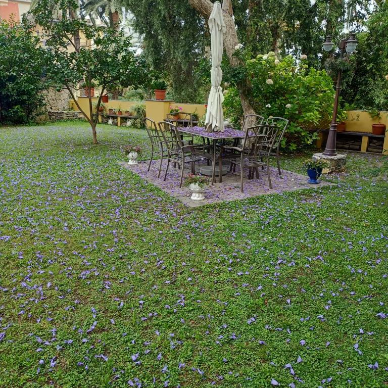 Casetta Jacaranda - Monolocale - 49