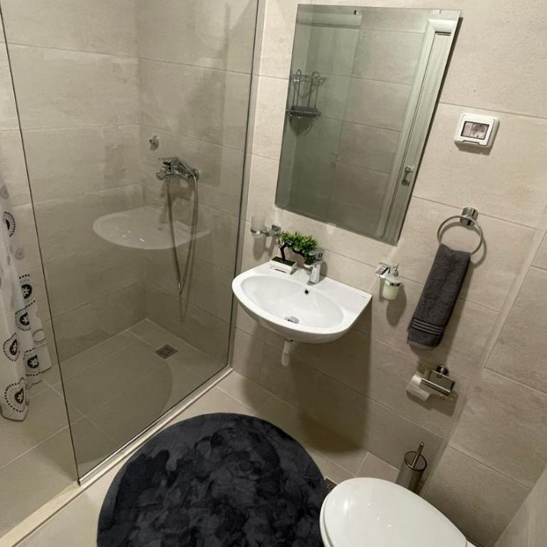 Apartman Bogdana - Apartment mit 1 Schlafzimmer - 13